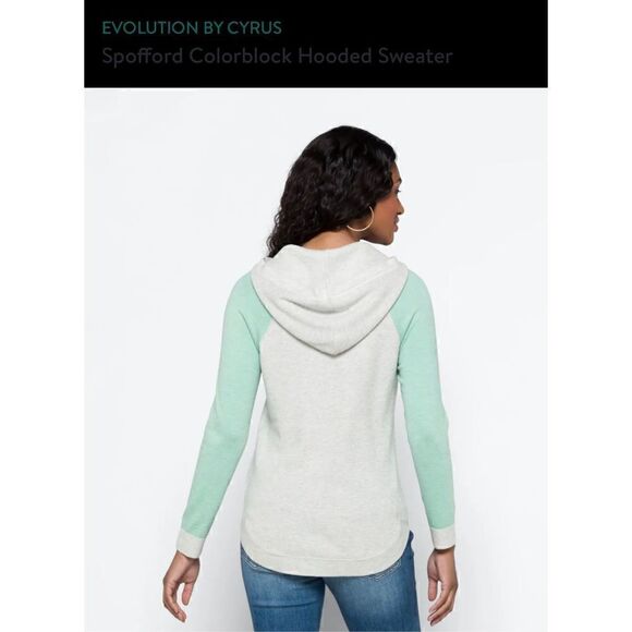 Colorblock Hoodie Sweater   - Picture 2 of 6